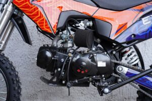 BSE EX 14/12 Blue Orange Ant