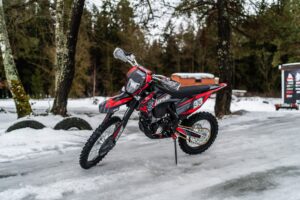 BSE T8 Red Bear