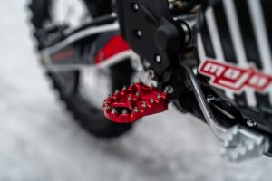 BSE T8 Red Bear