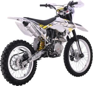 BSE Z2 21/18 Roqvi Yellow