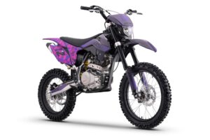 BSE Z2 L 1916 Split Purple