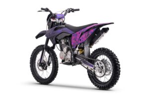 BSE Z2 L 1916 Split Purple