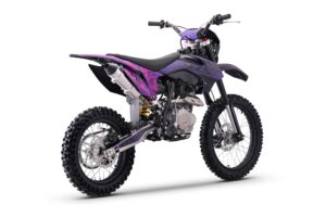 BSE Z2 L 1916 Split Purple